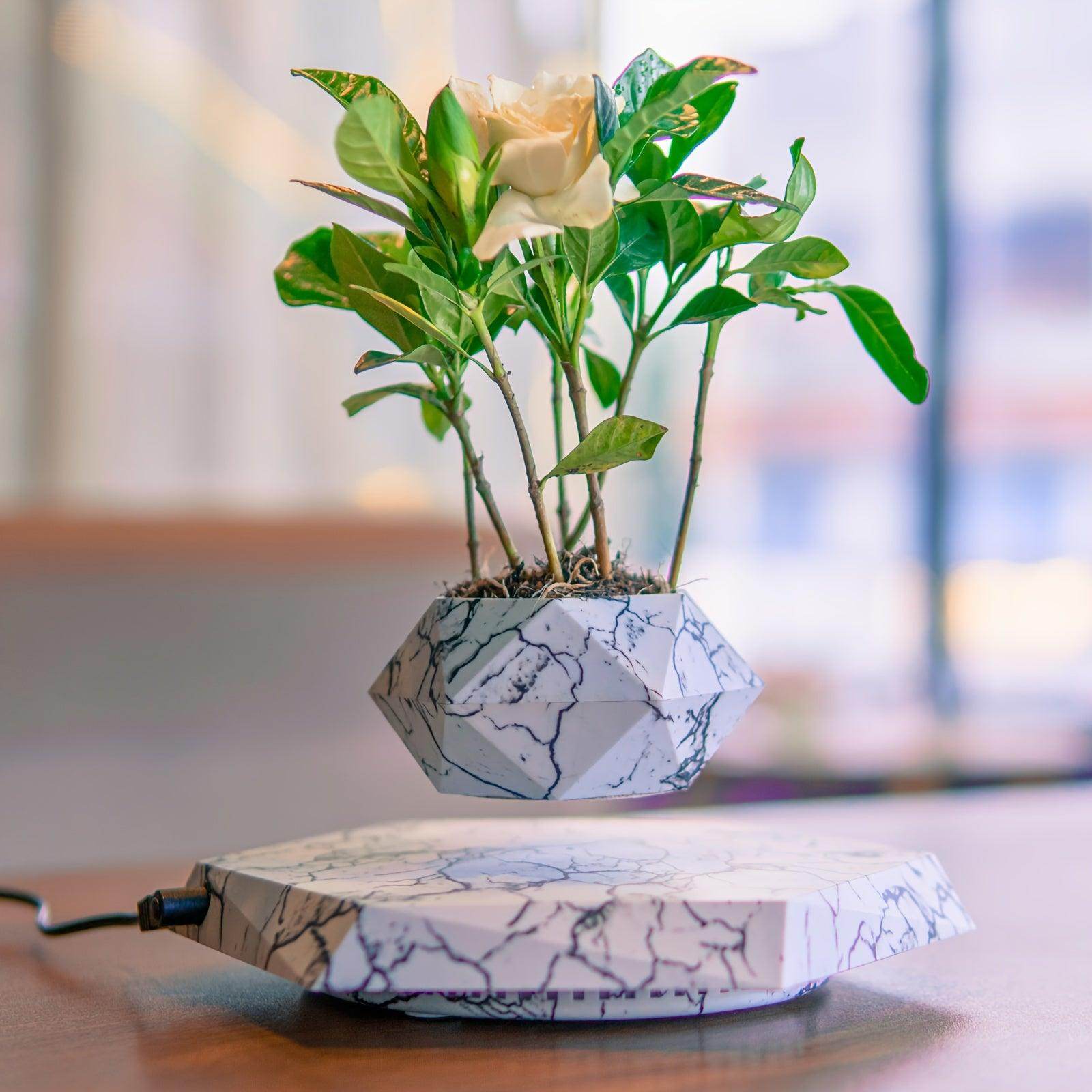 Levitating Floating Plant Pot - My Store