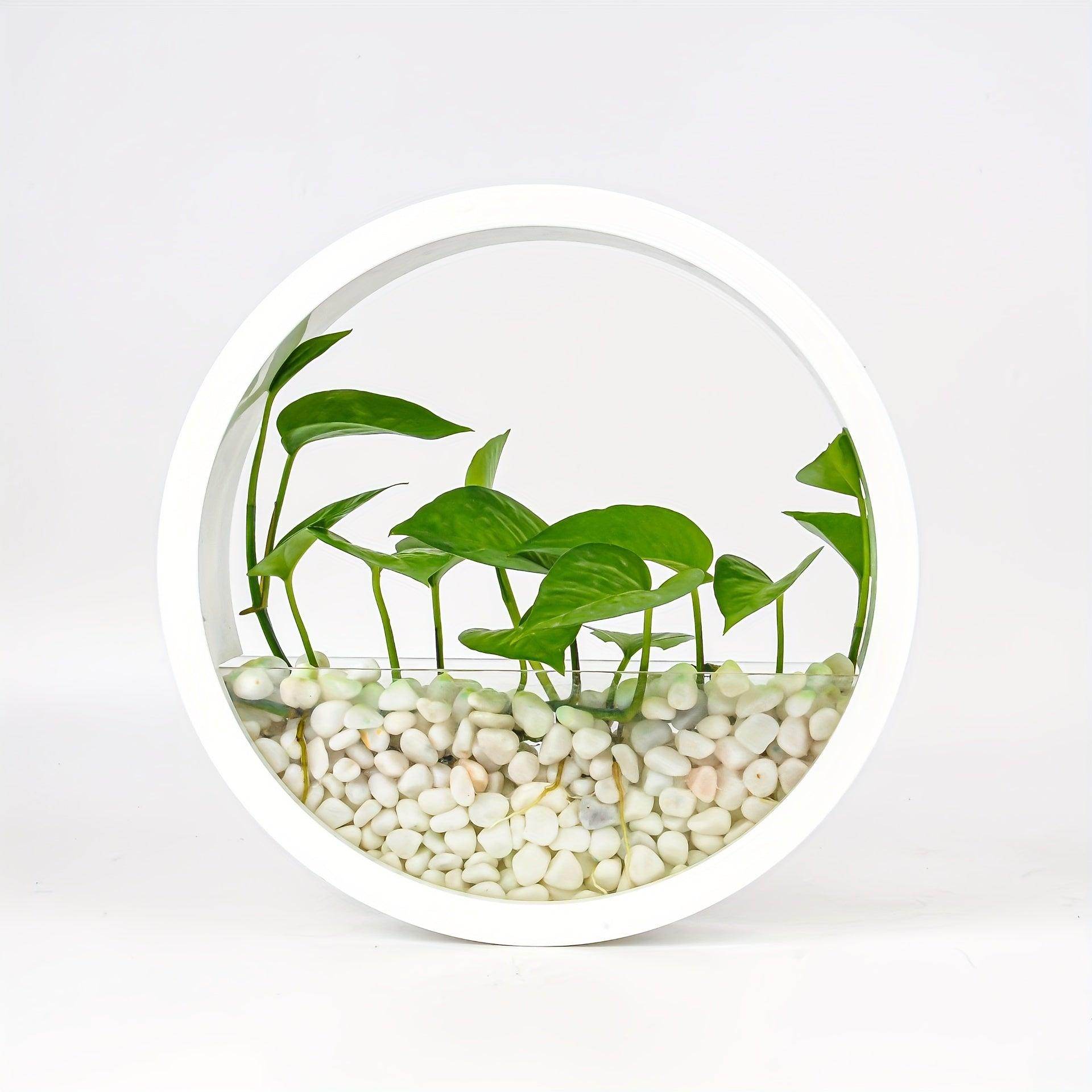 Wall-Mounted Round Planter - My Store
