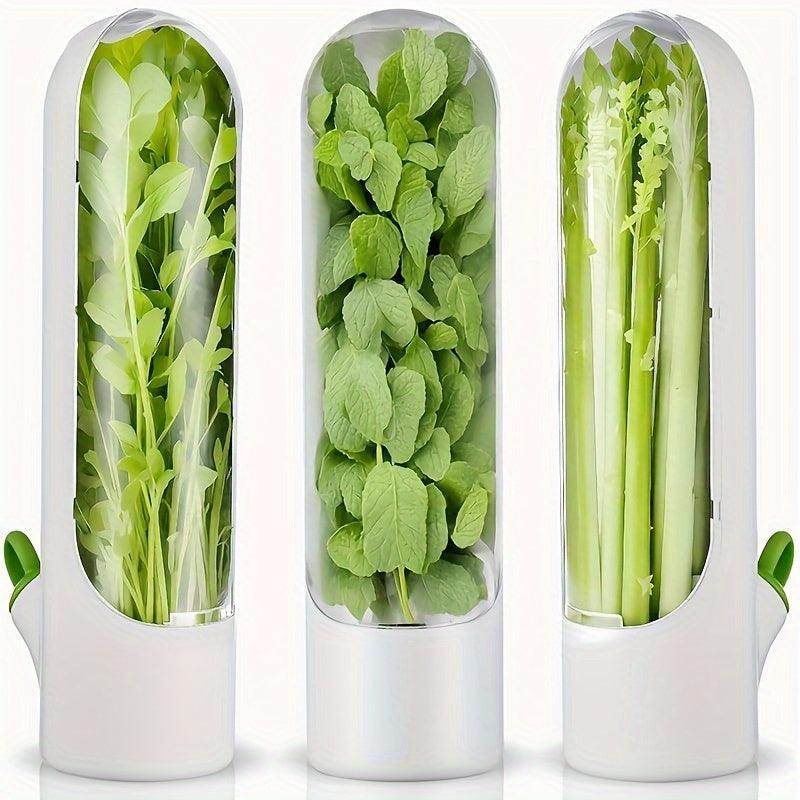 Fresh Vegetable Storage Containers with Flip-Top Lid - My Store