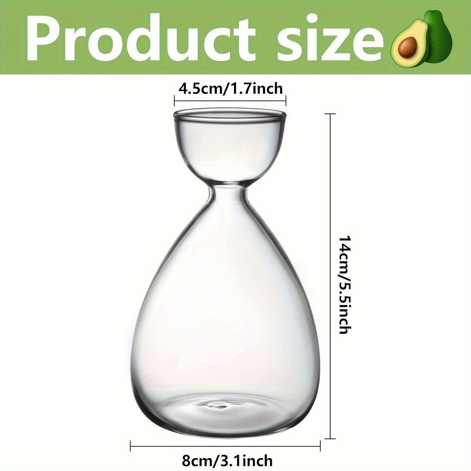 Avocado Seed Starter Glass Vases - My Store